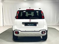 Usata Fiat Panda S 70 CV (51 kW) 2024 Gelato Utilitaria