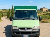 Usata Fiat Ducato 127 CV (93 kW) 2002 Verde Furgone