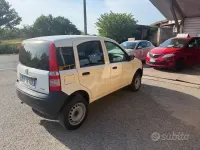 Usata Fiat Panda 4x4 Active 69 CV (50 kW) 2008 Bianco Utilitaria