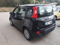 Usata Fiat Panda S 69 CV (50 kW) 2024 Nero Utilitaria