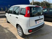 usata Fiat Panda 1.2 Easy