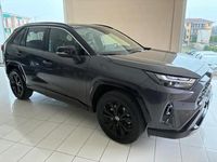 Usata Toyota RAV4 Hybrid Style 222 CV (163 kW) 2025 Grigio SUV