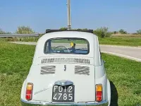 Usata Fiat 500 1960 Bianco Utilitaria