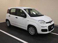 Usata Fiat Panda S 69 CV (50 kW) 2022 Bianco Utilitaria