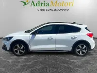 Usata Ford Focus Business Edition 125 CV (91 kW) 2020 Other Utilitaria