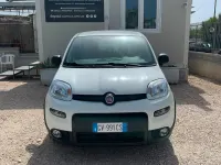 Usata Fiat Panda S 70 CV (51 kW) 2024 Bianco Utilitaria