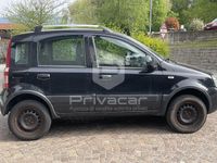 usata Fiat Panda 4x4 Panda 1.2 Climbing