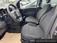 Usata Fiat Panda Cross Cross 70 CV (51 kW) 2023 Grigio Utilitaria