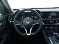 usata Alfa Romeo Stelvio Business RWD AT8