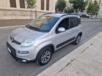 Usata Fiat Panda 4x4 S 95 CV (69 kW) 2017 Grigio Utilitaria