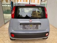 usata Fiat Panda 1.2 Easy