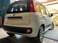 usata Fiat Panda 1.2 Lounge/PARI AL NUOVO/GARANTITA 12 MESI