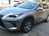 Usata Lexus NX300h Executive Line 155 CV (114 kW) 2018 Grigio SUV