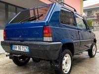 Usata Fiat Panda 4x4 Trekking 54 CV (39 kW) 2000 Blu Utilitaria