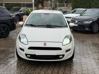 Usata Fiat Punto Evo S 95 CV (69 kW) 2012 Bianco Utilitaria