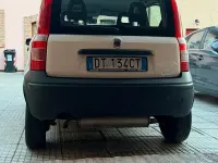 Usata Fiat Panda 4x4 60 CV (44 kW) 2008 Bianco Utilitaria