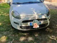 Usata Fiat Grande Punto S 69 CV (50 kW) 2012 Utilitaria