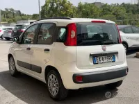Usata Fiat Panda Lounge 84 CV (61 kW) 2015 Bianco Utilitaria