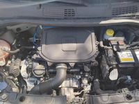 Usata Fiat Panda 70 CV (51 kW) 2021 Grigio Utilitaria