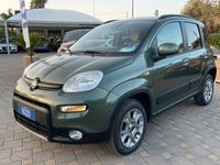 Usata Fiat Panda 4x4 Lounge 95 CV (69 kW) 2014 Verde Utilitaria