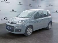 Usata Fiat Panda Easy 95 CV (69 kW) 2018 Grigio Utilitaria