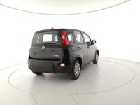 usata Fiat Panda 1.0 FireFly S&S Hybrid nuovo