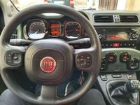 Usata Fiat Panda Trekking 80 CV (58 kW) 2013 Verde Utilitaria