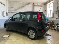 Usata Fiat Panda S 69 CV (50 kW) 2023 Nero Utilitaria