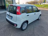 usata Fiat Panda Panda1.2 Easy 69cv NEOPATENTATI OK