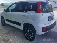 Usata Fiat Panda 4x4 Pop 75 CV (55 kW) 2014 Bianco Utilitaria