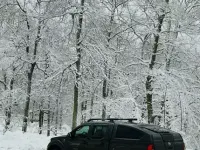 Usata Nissan Navara 190 CV (139 kW) 2006 Pick-up