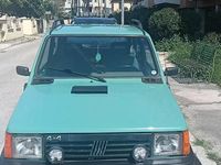 Usata Fiat Panda 4x4 2000 Verde Utilitaria