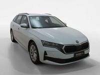 Usata Skoda Octavia Executive 150 CV (110 kW) 2024 Bianco Station wagon