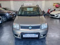 Usata Fiat Panda 4x4 Climbing 60 CV (44 kW) 2007 Beige Utilitaria