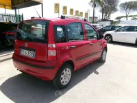 Usata Fiat Panda Dynamic 69 CV (50 kW) 2011 Rosso Utilitaria