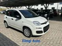 Nuova Fiat Panda Icon 69 CV (50 kW) 2026 Bianco Utilitaria