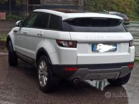 Usata Land Rover Range Rover evoque Pure 150 CV (110 kW) 2014 Bianco SUV