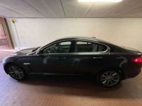 usata Jaguar XF 2.2d s&s auto