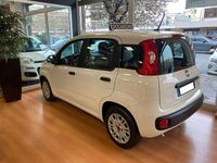 Usata Fiat Panda City Life 69 CV (50 kW) 2021 Bianco Utilitaria