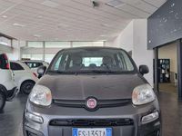 Usata Fiat Panda Pop 69 CV (50 kW) 2018 Grigio Utilitaria