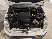 Usata Fiat Punto Evo 75 CV (55 kW) 2011 Bianco Utilitaria