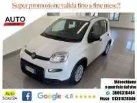 Usata Fiat Panda S 69 CV (50 kW) 2023 Bianco Utilitaria