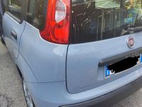 Usata Fiat Panda 60 CV (44 kW) 2021 Grigio Utilitaria