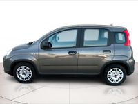 Usata Fiat Panda S 70 CV (51 kW) 2022 Grigio Utilitaria