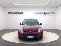 Usata Fiat Panda 70 CV (51 kW) 2024 Rosso Utilitaria