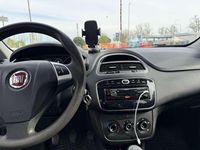 Usata Fiat Punto Active 60 CV (44 kW) 2014 Utilitaria
