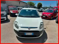 Usata Fiat Punto Evo Dynamic 65 CV (47 kW) 2010 Bianco Utilitaria