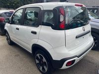 usata Fiat Panda 4x4 1.0 FireFly S&S Hybrid 70CV