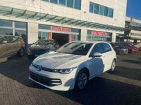 Usata VW Golf VIII Life 150 CV (110 kW) 2024 Bianco Berlina