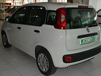 Usata Fiat Panda 70 CV (51 kW) 2021 Gray Utilitaria